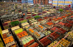 ��ó��6Ӧ��